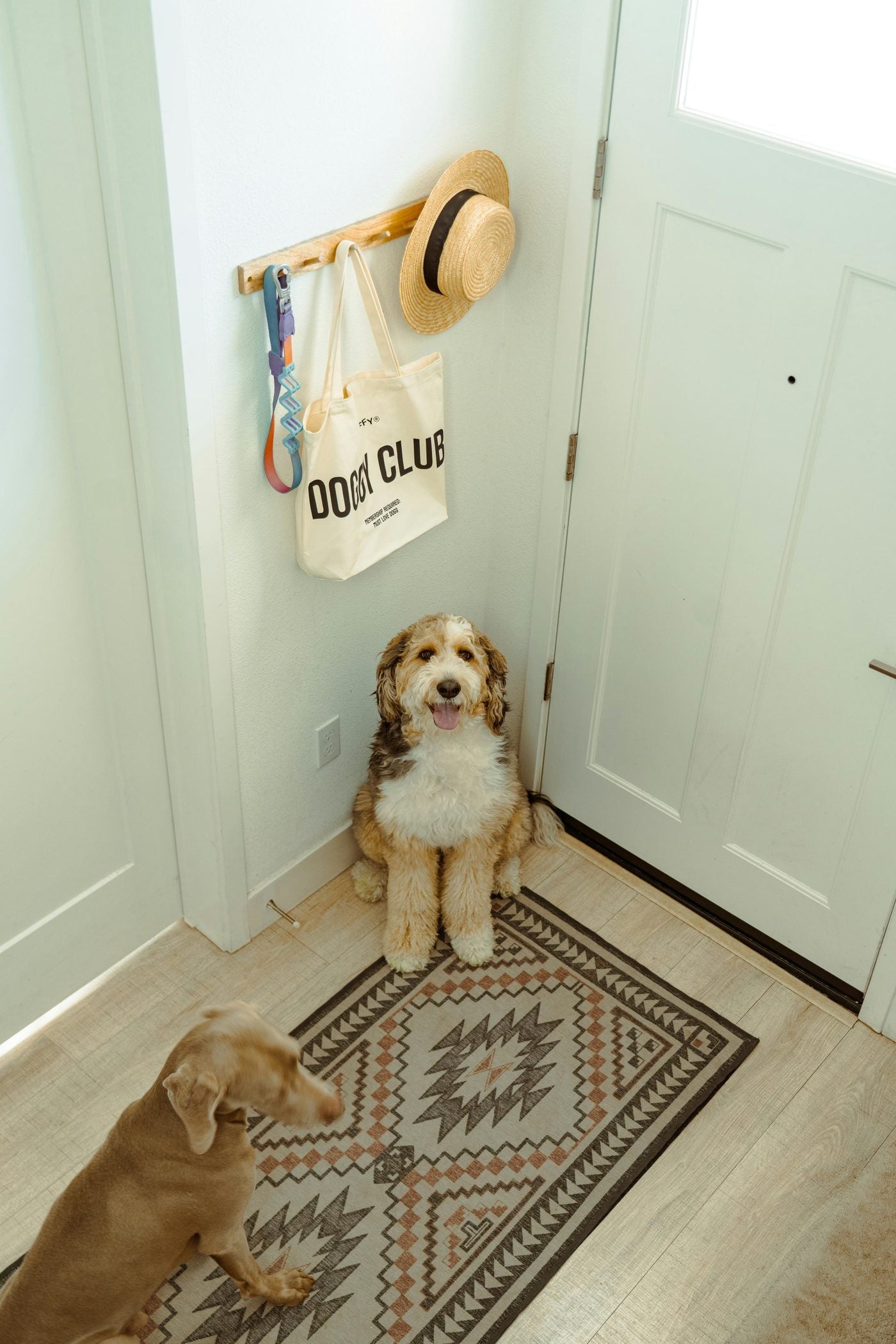 A welcoming entryway, leash and tote hung neatly by the door